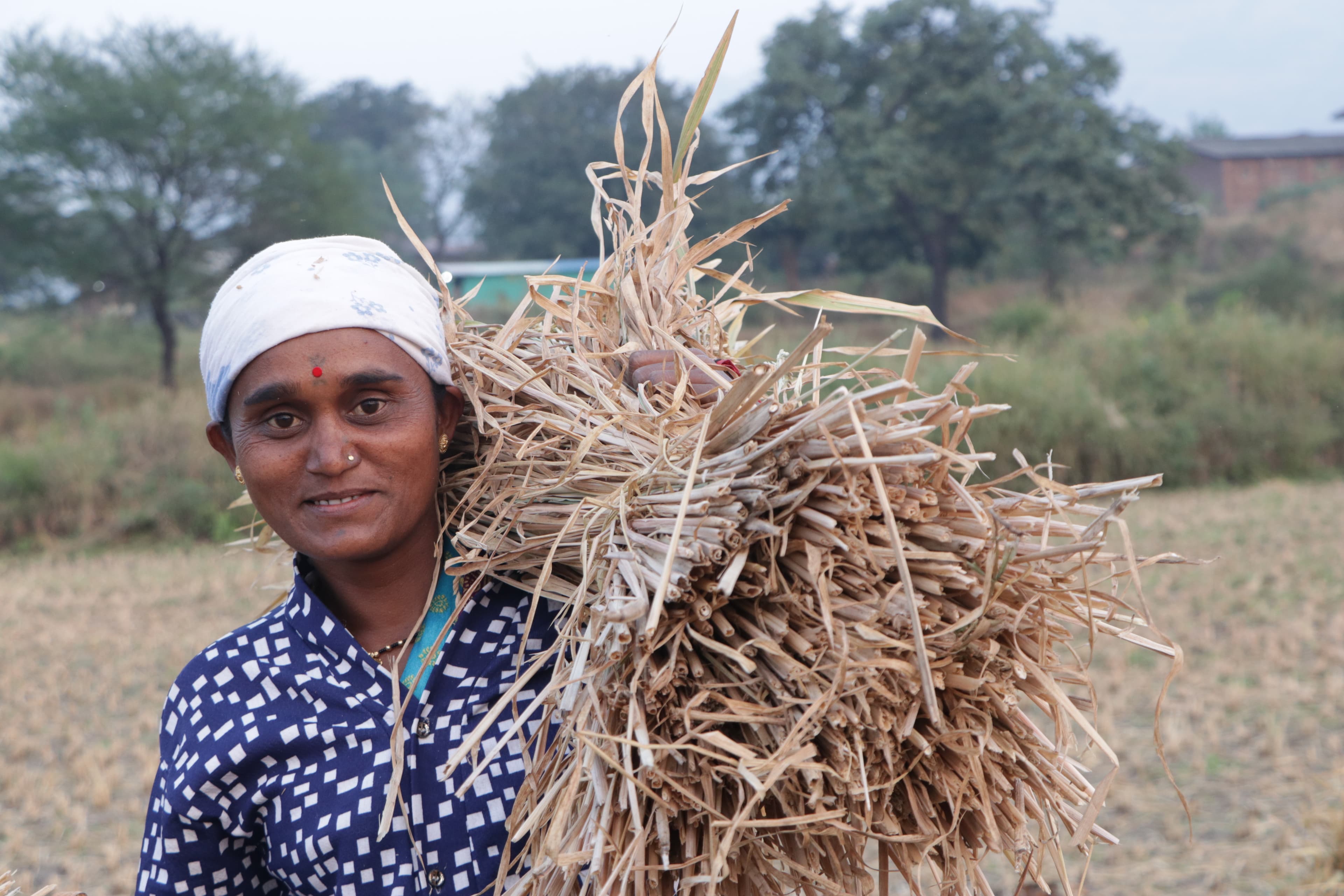 Rural India