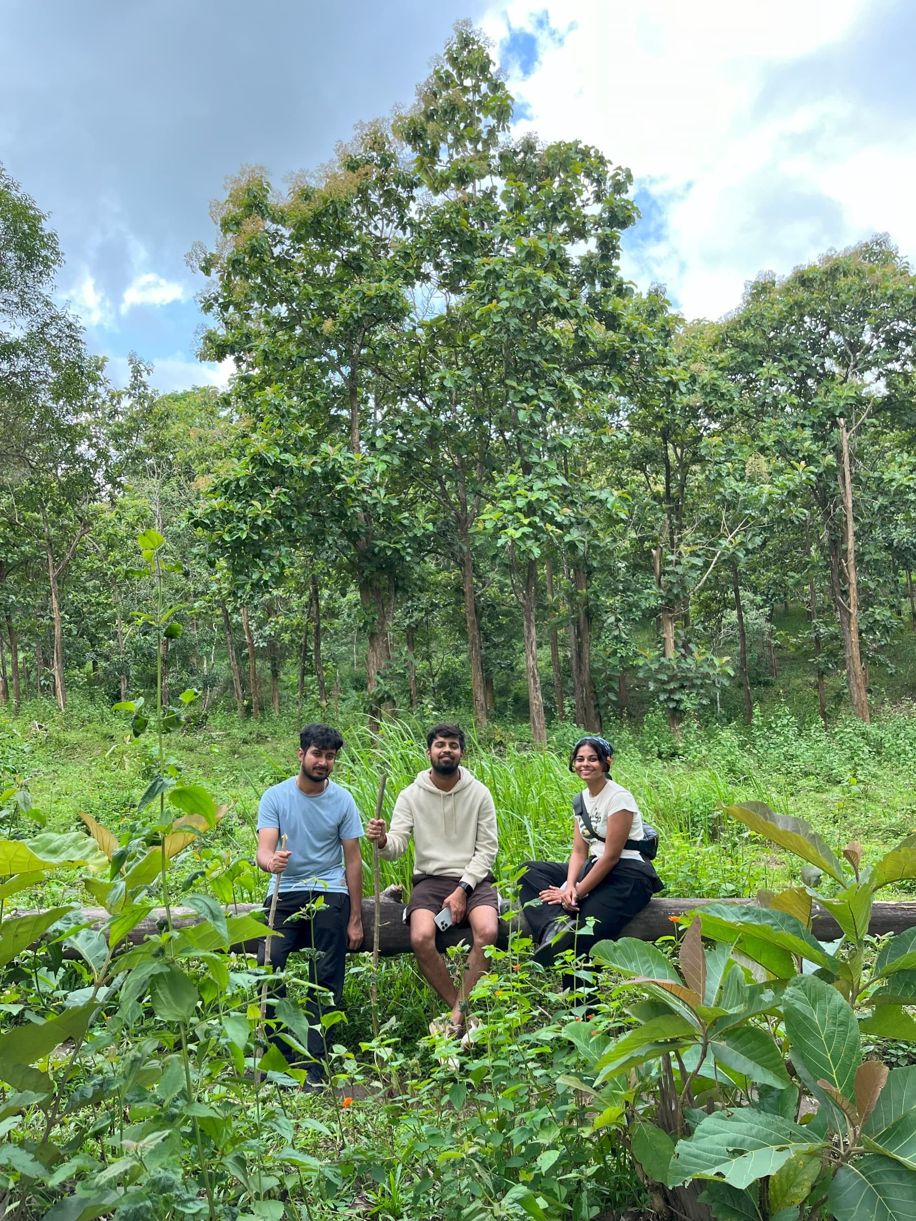 Trekking Views