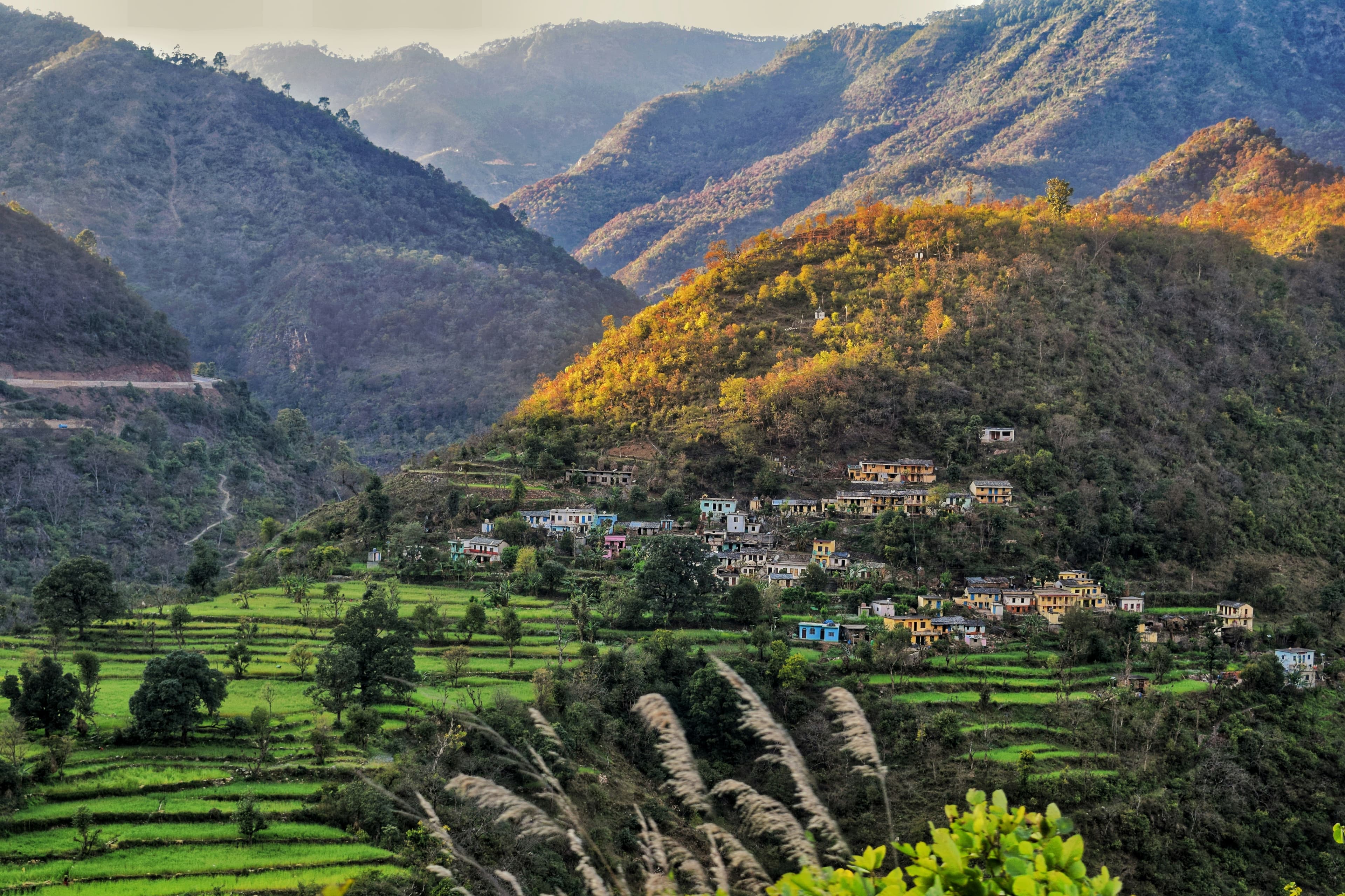 The Women's Village, Matholi, Uttarakhand