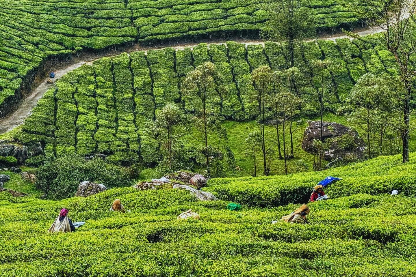 Kerala