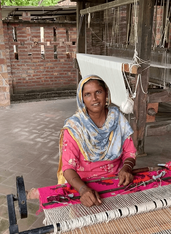 Punjab Cultural & Agricultural Immersion
