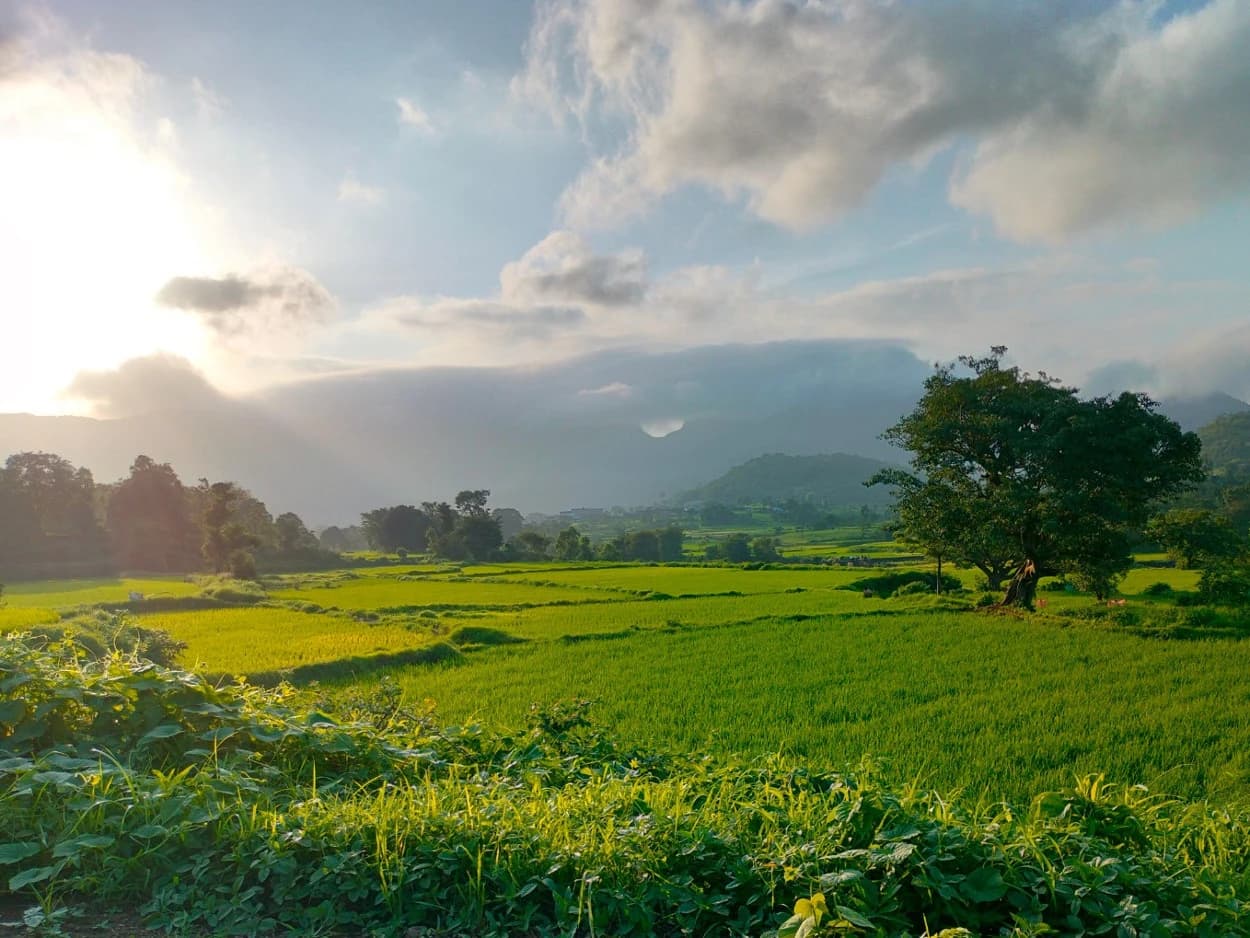Maharashtra